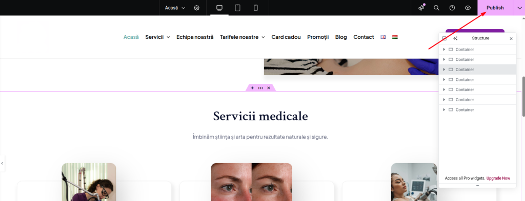 Publicarea si salvarea modificarilor efectuate in editorul elementor in WordPress.