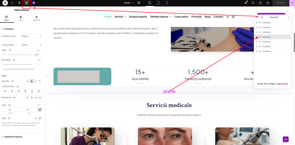 Deschidere navigator in editorul elementor